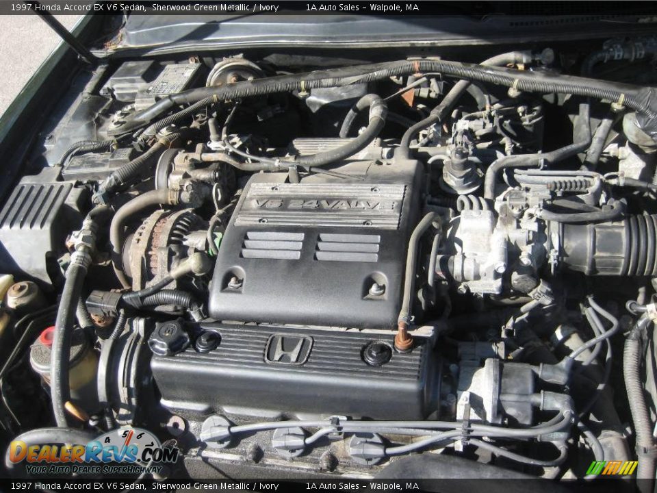 1997 Honda Accord EX V6 Sedan Sherwood Green Metallic / Ivory Photo #18
