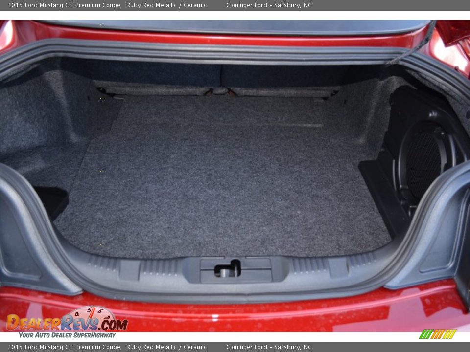 2015 Ford Mustang GT Premium Coupe Ruby Red Metallic / Ceramic Photo #9