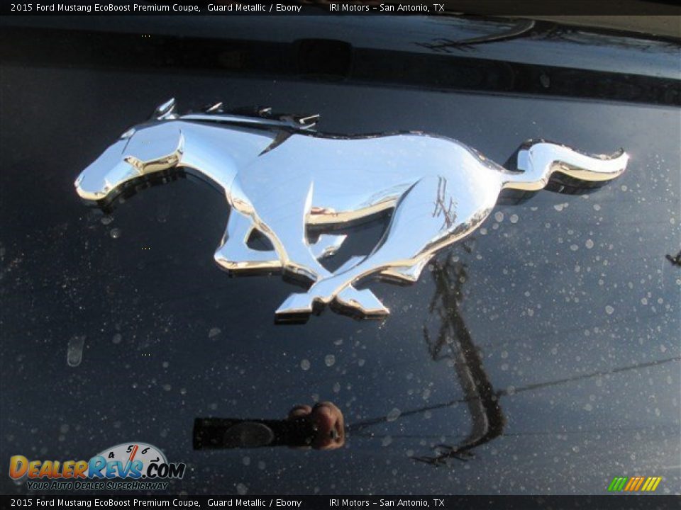 2015 Ford Mustang EcoBoost Premium Coupe Guard Metallic / Ebony Photo #6