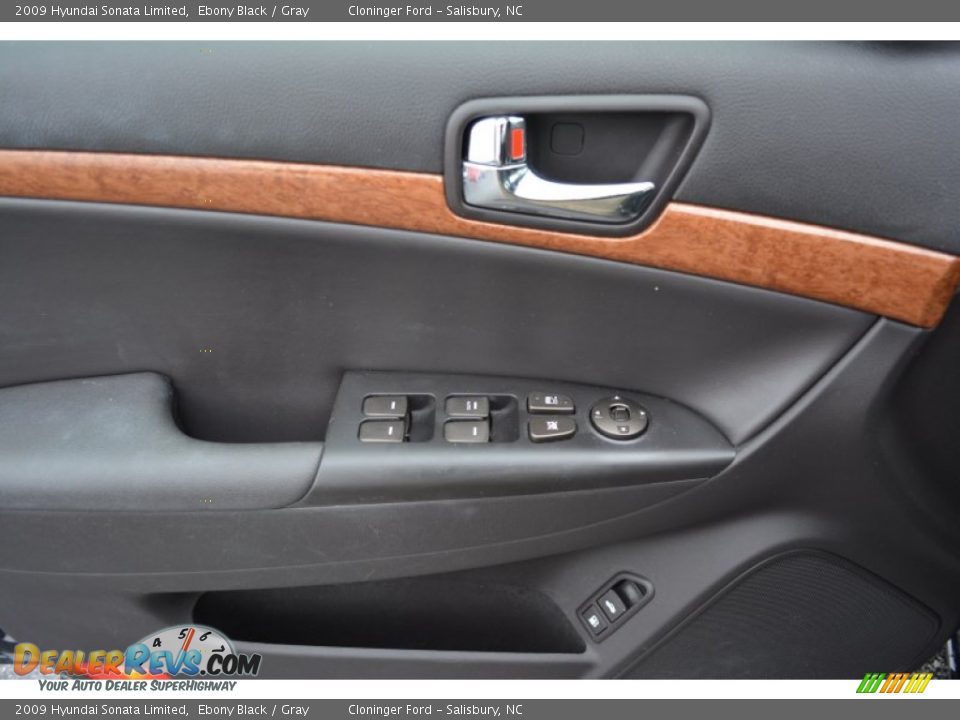 Door Panel of 2009 Hyundai Sonata Limited Photo #8