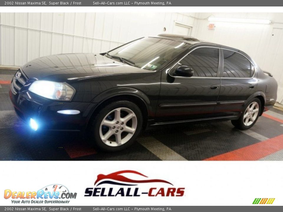 2002 Nissan Maxima SE Super Black / Frost Photo #1