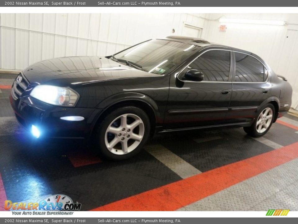 2002 Nissan Maxima SE Super Black / Frost Photo #2