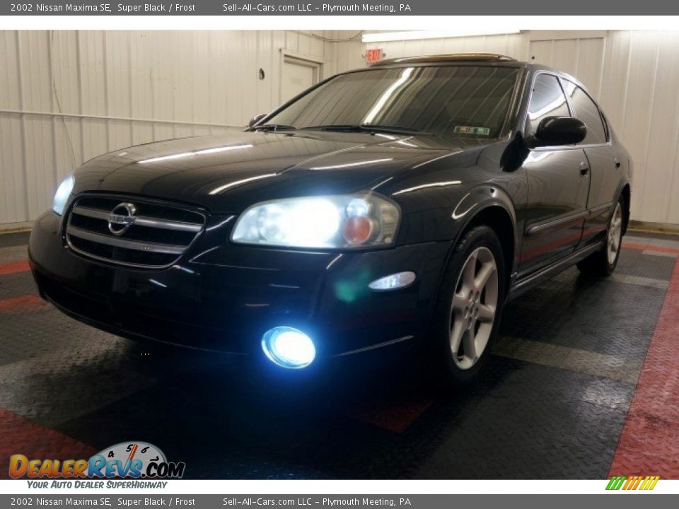 2002 Nissan Maxima SE Super Black / Frost Photo #3
