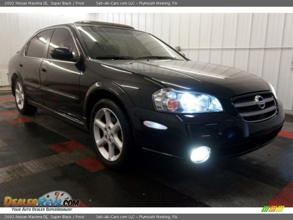 2002 Nissan Maxima SE Super Black / Frost Photo #5