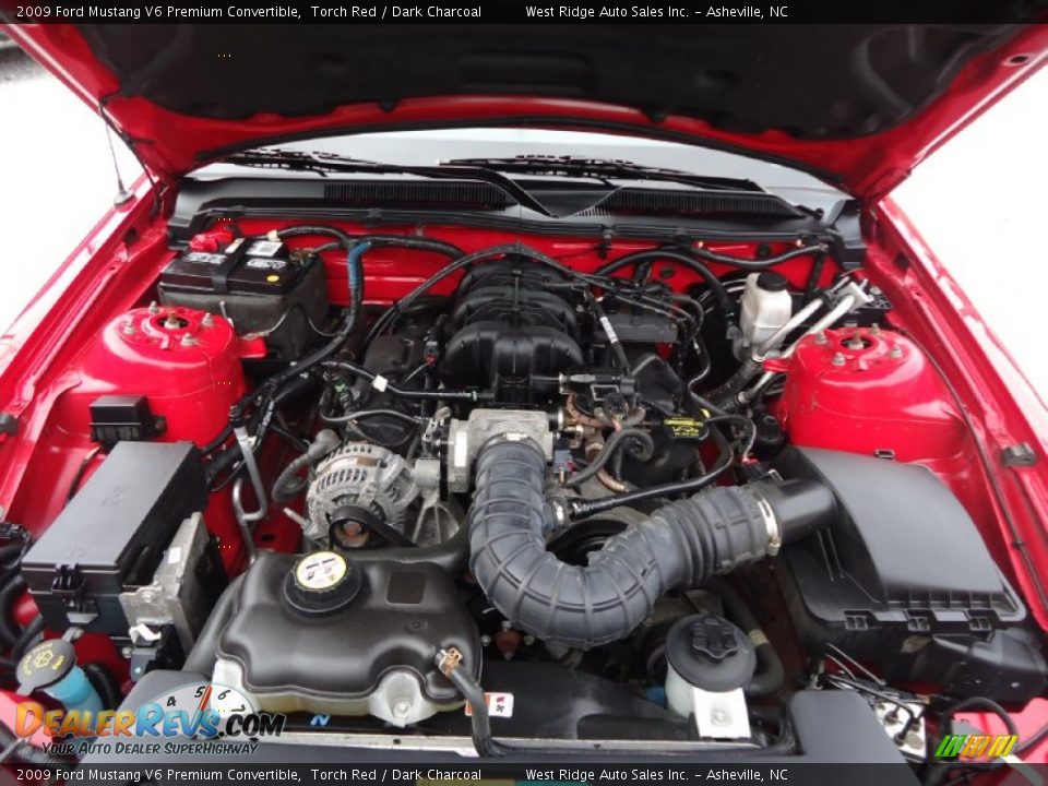 2009 Ford Mustang V6 Premium Convertible 4.0 Liter SOHC 12-Valve V6 Engine Photo #25