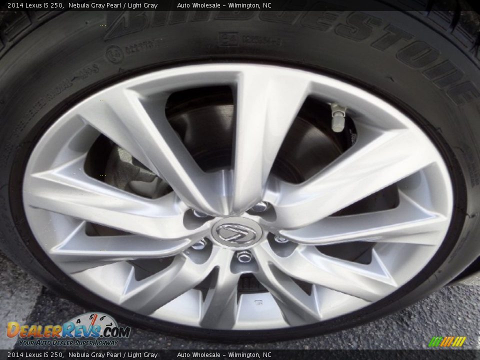 2014 Lexus IS 250 Nebula Gray Pearl / Light Gray Photo #6
