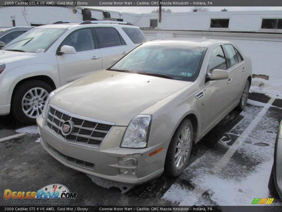 Front 3/4 View of 2009 Cadillac STS 4 V6 AWD Photo #3