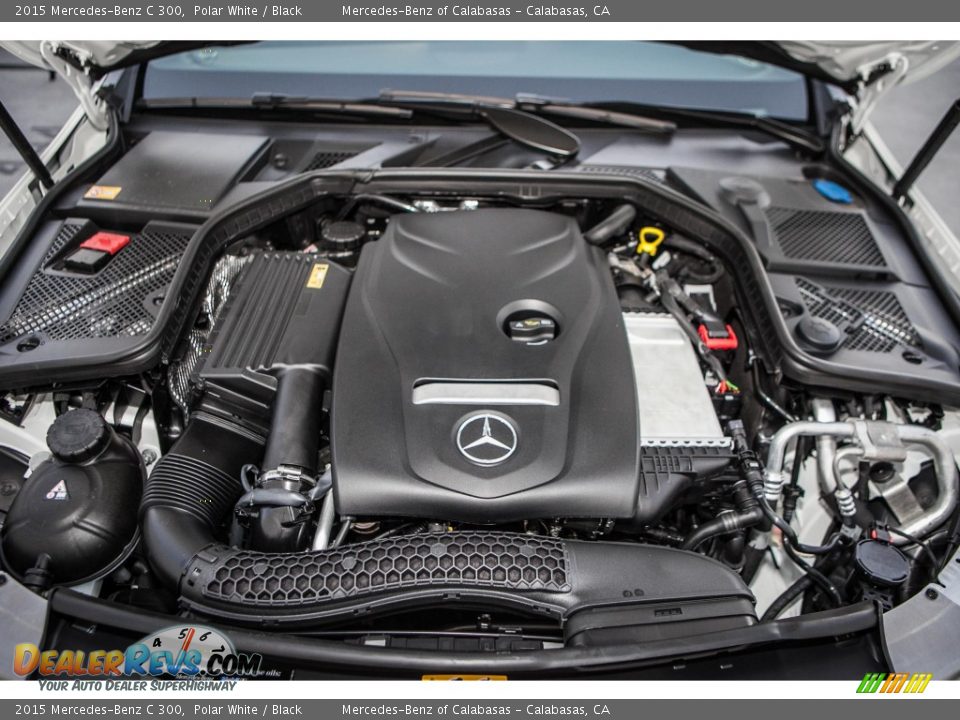 2015 Mercedes-Benz C 300 Polar White / Black Photo #9