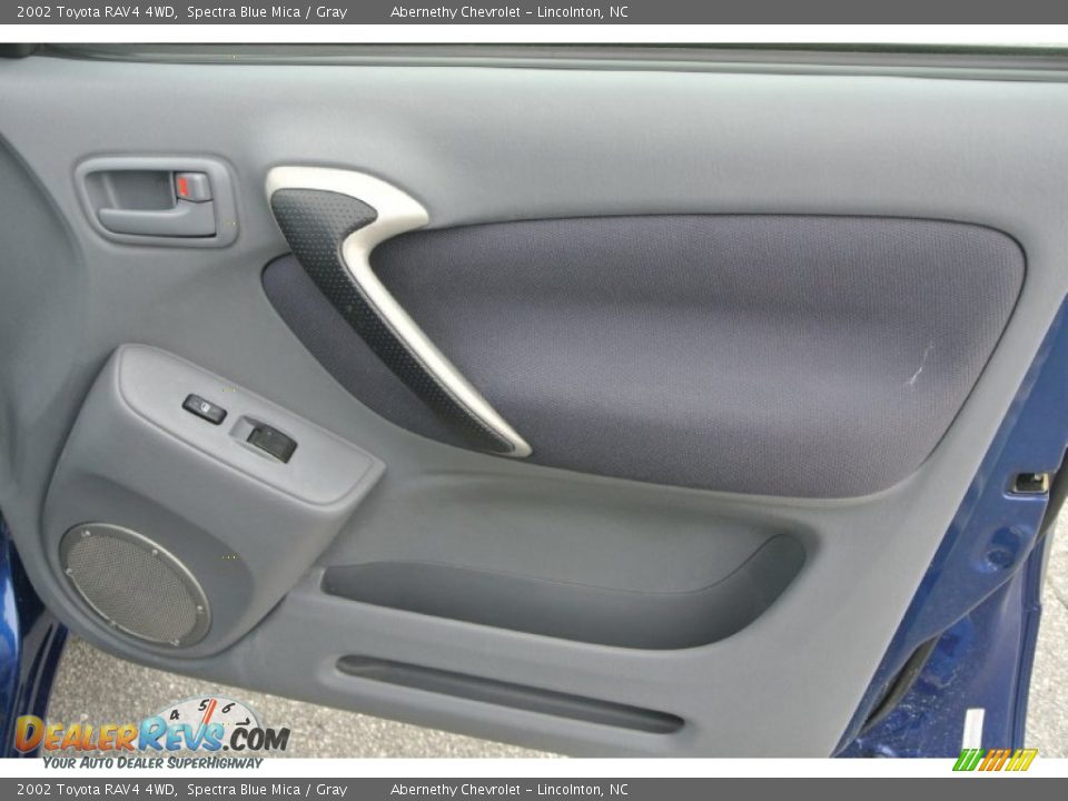 Door Panel of 2002 Toyota RAV4 4WD Photo #19