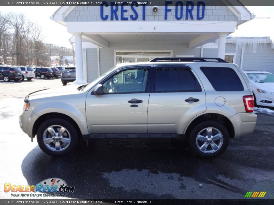 2012 Ford Escape XLT V6 4WD Gold Leaf Metallic / Camel Photo #4