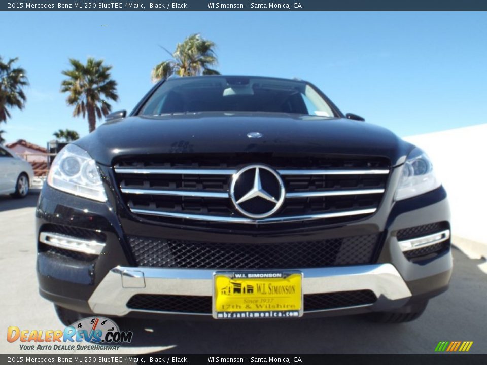 2015 Mercedes-Benz ML 250 BlueTEC 4Matic Black / Black Photo #2