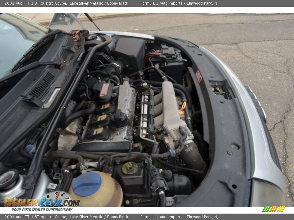 2001 Audi TT 1.8T quattro Coupe Lake Silver Metallic / Ebony Black Photo #29