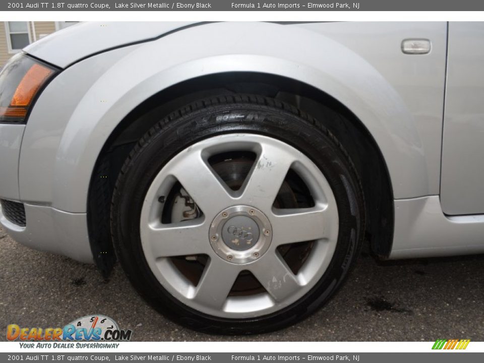 2001 Audi TT 1.8T quattro Coupe Lake Silver Metallic / Ebony Black Photo #30