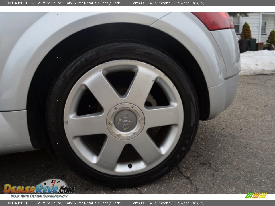 2001 Audi TT 1.8T quattro Coupe Lake Silver Metallic / Ebony Black Photo #32
