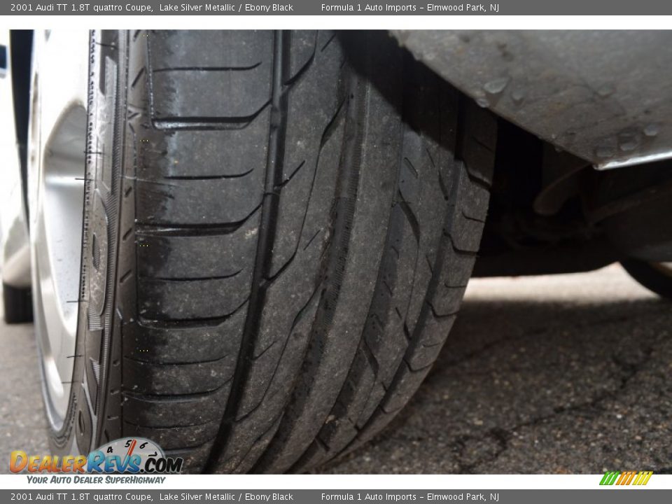 2001 Audi TT 1.8T quattro Coupe Lake Silver Metallic / Ebony Black Photo #33