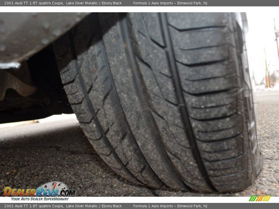 2001 Audi TT 1.8T quattro Coupe Lake Silver Metallic / Ebony Black Photo #35