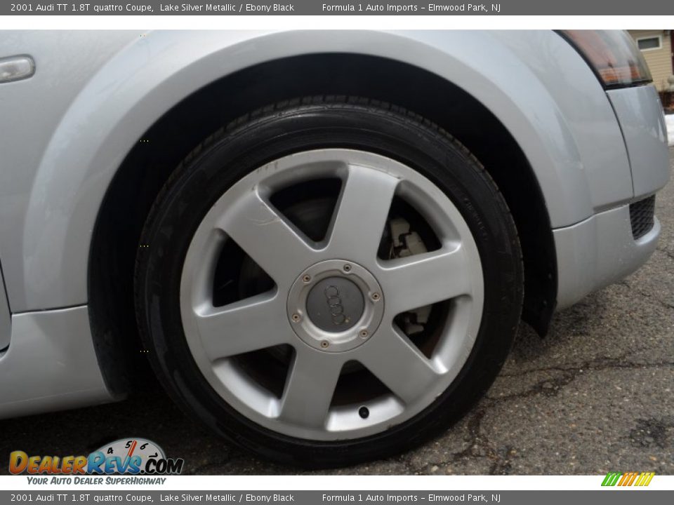 2001 Audi TT 1.8T quattro Coupe Lake Silver Metallic / Ebony Black Photo #36