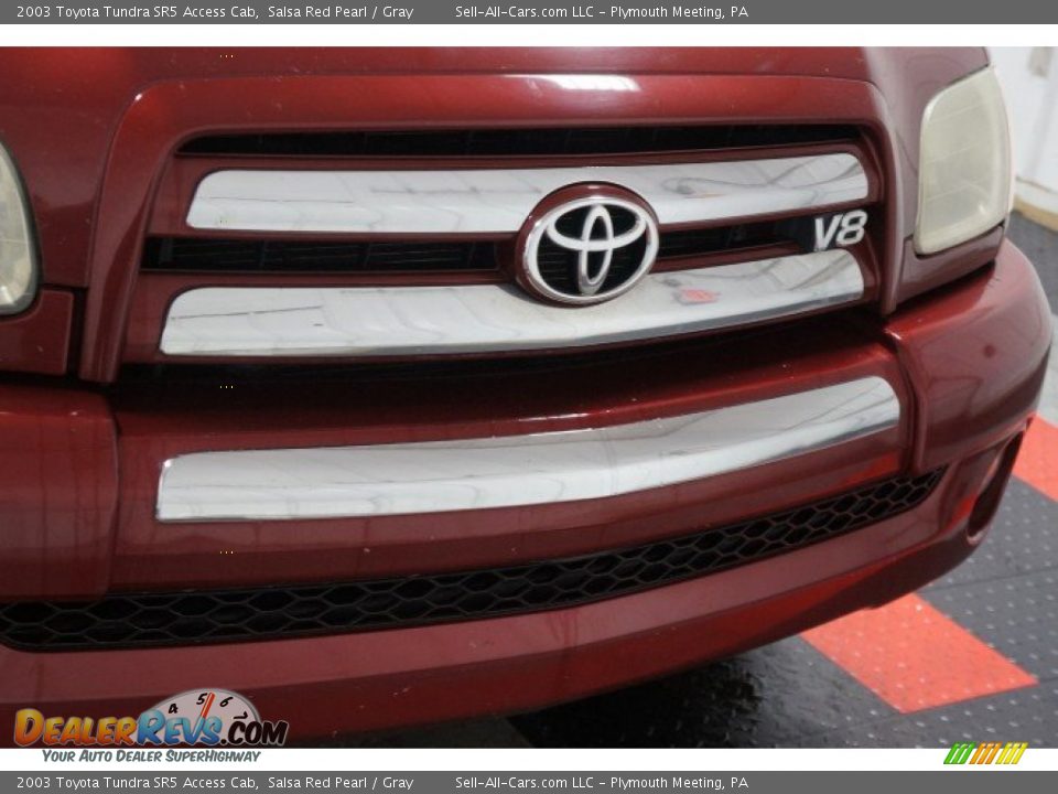 2003 Toyota Tundra SR5 Access Cab Salsa Red Pearl / Gray Photo #34