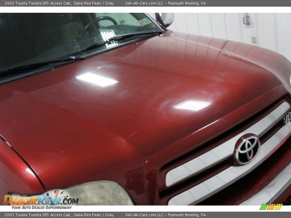 2003 Toyota Tundra SR5 Access Cab Salsa Red Pearl / Gray Photo #35