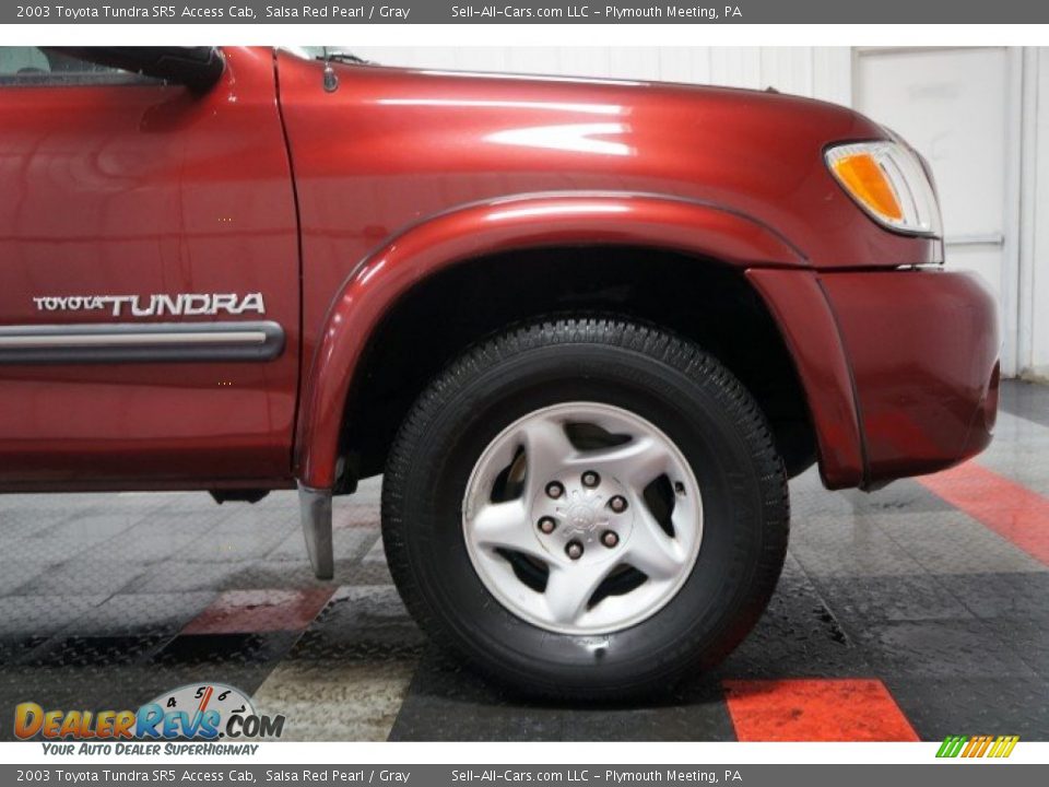 2003 Toyota Tundra SR5 Access Cab Salsa Red Pearl / Gray Photo #36