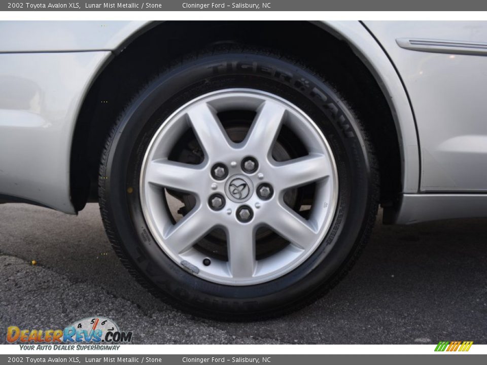 2002 Toyota Avalon XLS Lunar Mist Metallic / Stone Photo #8