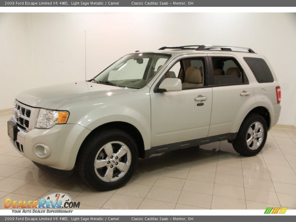 Front 3/4 View of 2009 Ford Escape Limited V6 4WD Photo #3