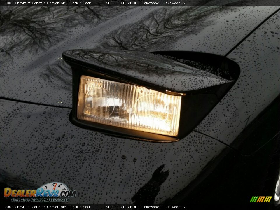 2001 Chevrolet Corvette Convertible Black / Black Photo #26
