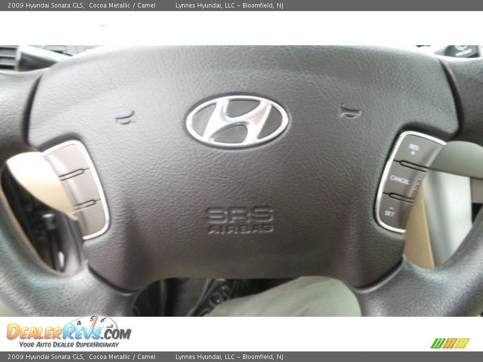 2009 Hyundai Sonata GLS Cocoa Metallic / Camel Photo #13