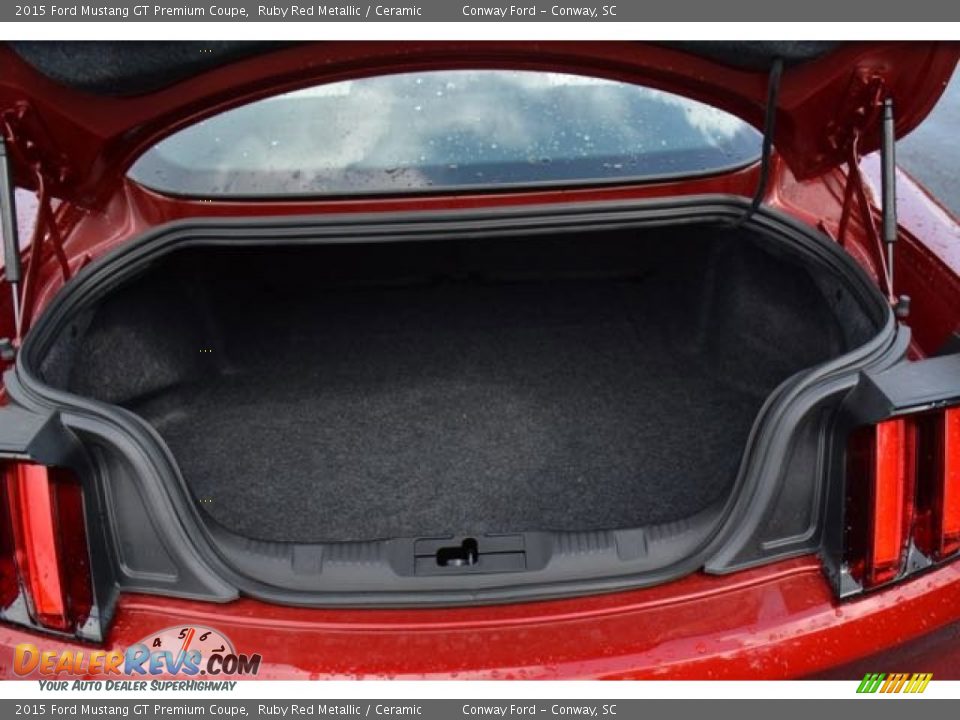 2015 Ford Mustang GT Premium Coupe Trunk Photo #13