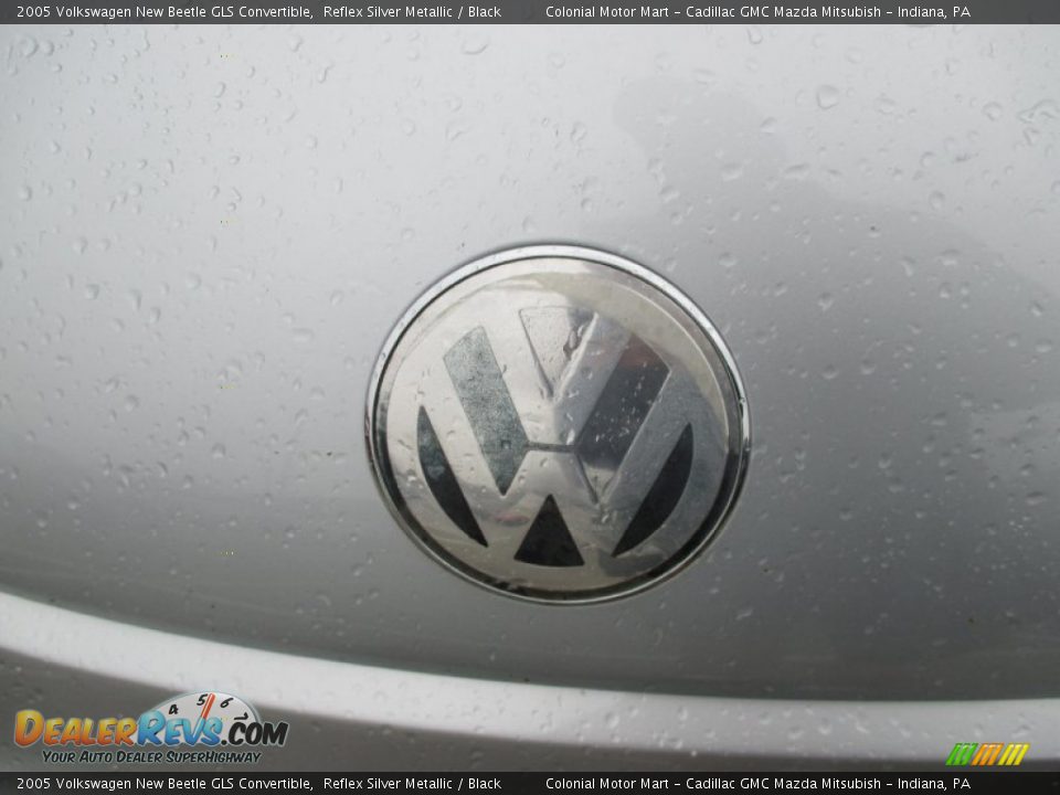 2005 Volkswagen New Beetle GLS Convertible Reflex Silver Metallic / Black Photo #10