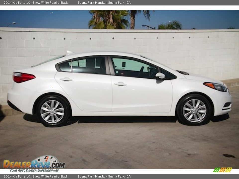 2014 Kia Forte LX Snow White Pearl / Black Photo #8