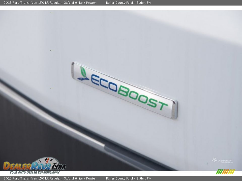 2015 Ford Transit Van 150 LR Regular Logo Photo #10