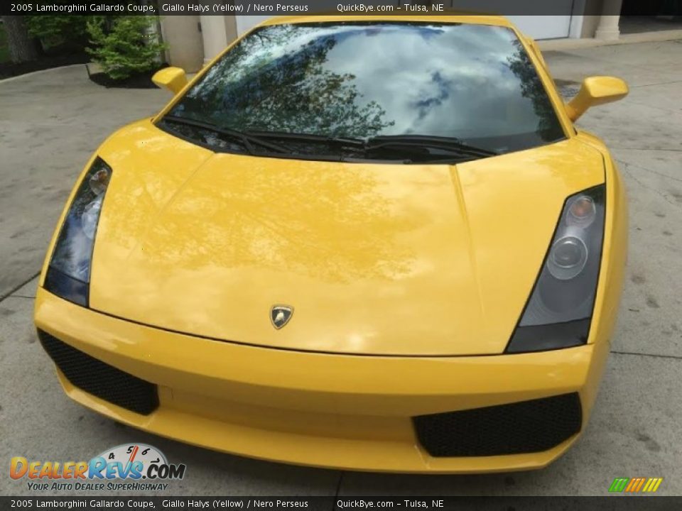 2005 Lamborghini Gallardo Coupe Giallo Halys (Yellow) / Nero Perseus Photo #4