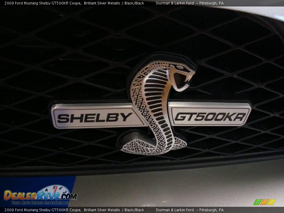 2009 Ford Mustang Shelby GT500KR Coupe Brilliant Silver Metallic / Black/Black Photo #7