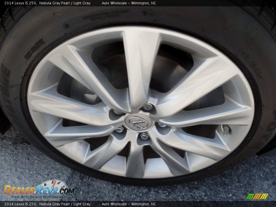 2014 Lexus IS 250 Nebula Gray Pearl / Light Gray Photo #7