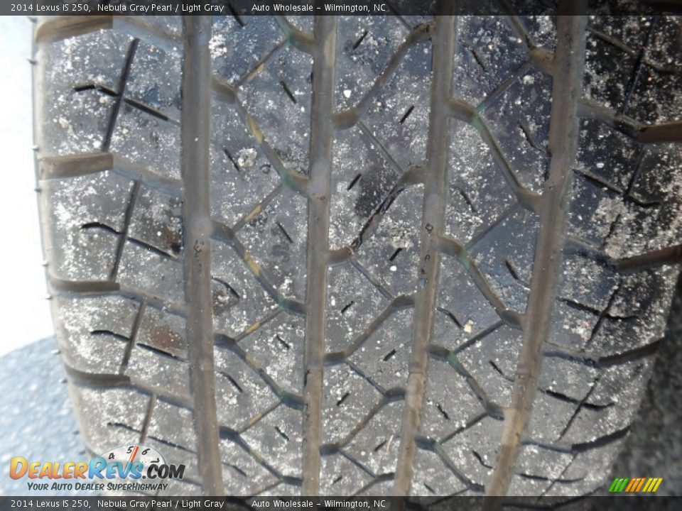 2014 Lexus IS 250 Nebula Gray Pearl / Light Gray Photo #9