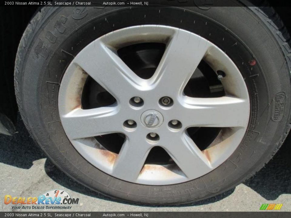 2003 Nissan Altima 2.5 SL Seascape / Charcoal Photo #3