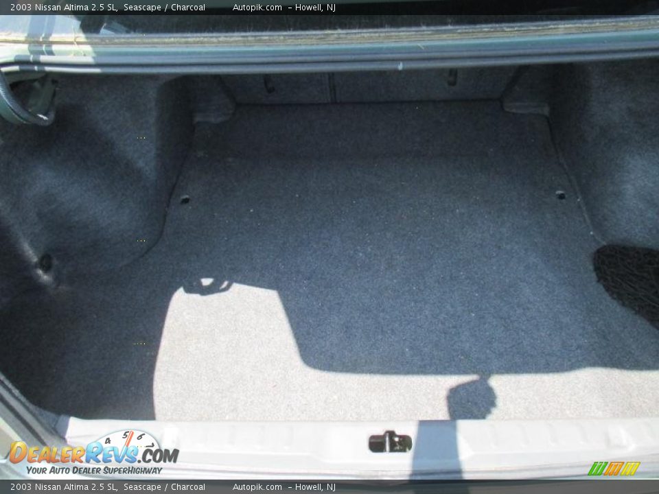 2003 Nissan Altima 2.5 SL Seascape / Charcoal Photo #7