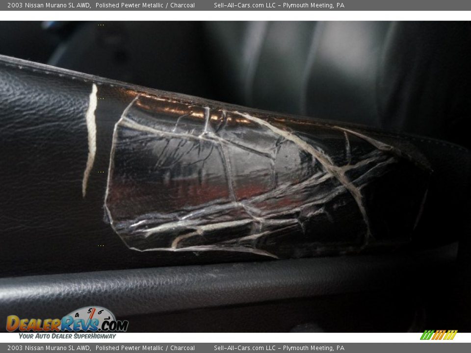 2003 Nissan Murano SL AWD Polished Pewter Metallic / Charcoal Photo #18