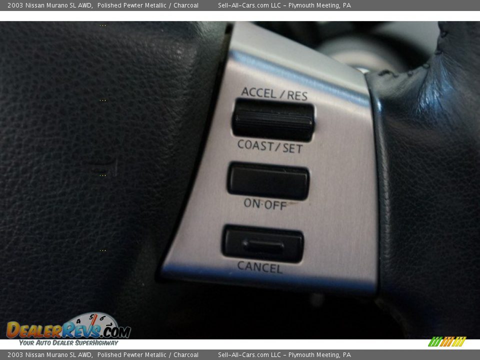 2003 Nissan Murano SL AWD Polished Pewter Metallic / Charcoal Photo #24