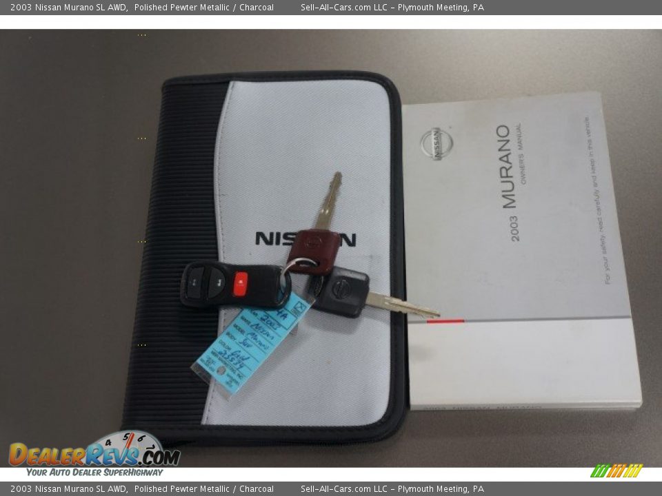 2003 Nissan Murano SL AWD Polished Pewter Metallic / Charcoal Photo #34