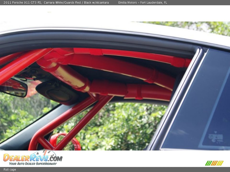 Roll cage - 2011 Porsche 911