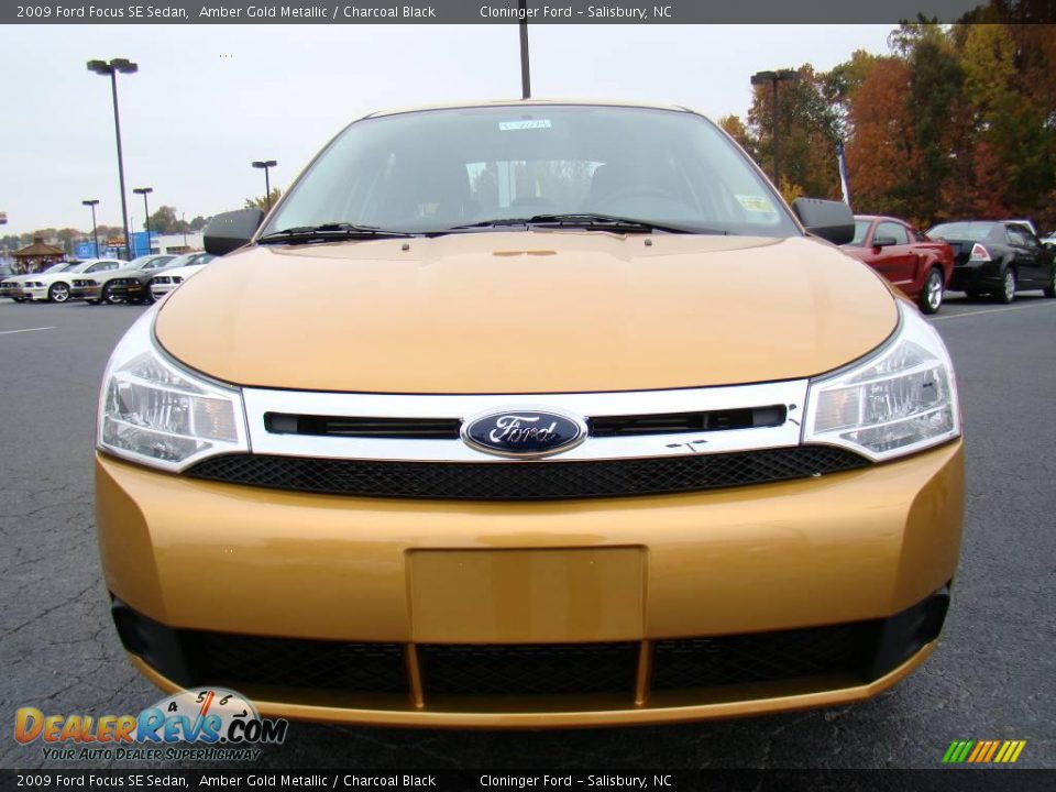 2009 Ford Focus SE Sedan Amber Gold Metallic / Charcoal Black Photo #7