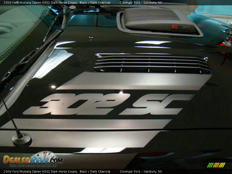 2009 Ford Mustang Saleen H302 Dark Horse Coupe Black / Dark Charcoal Photo #12