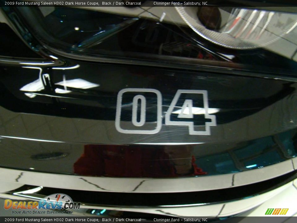 2009 Ford Mustang Saleen H302 Dark Horse Coupe Black / Dark Charcoal Photo #15