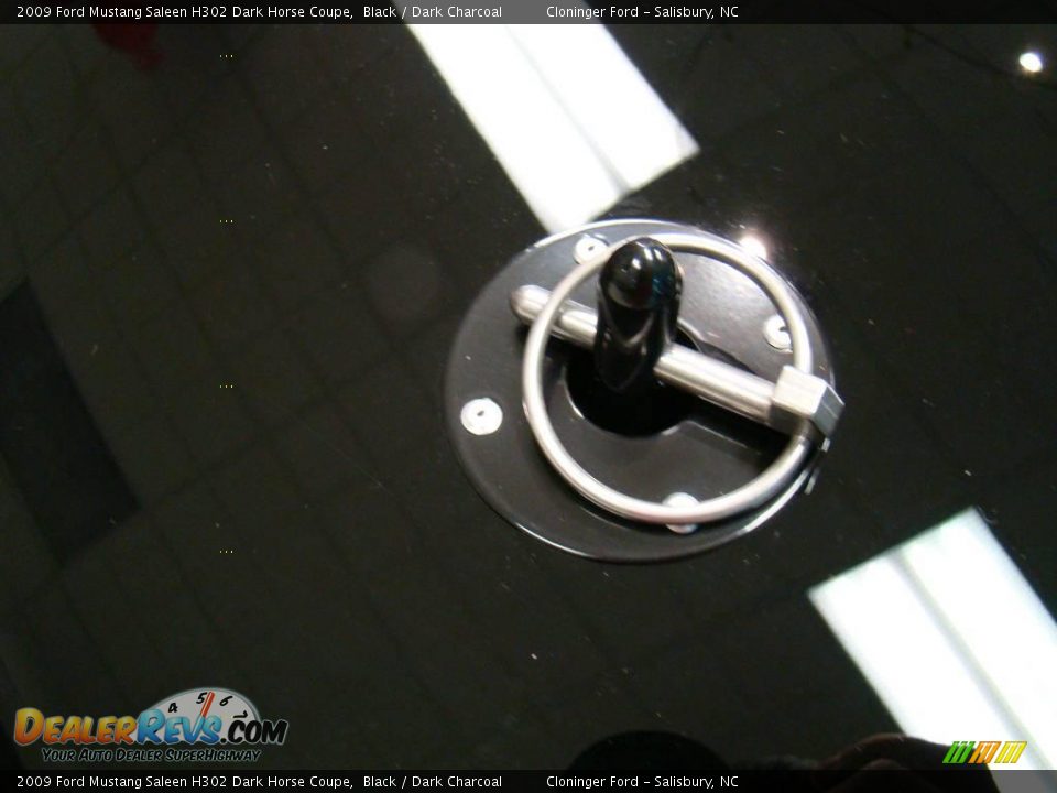 2009 Ford Mustang Saleen H302 Dark Horse Coupe Black / Dark Charcoal Photo #16