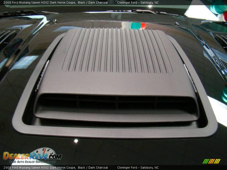 2009 Ford Mustang Saleen H302 Dark Horse Coupe Black / Dark Charcoal Photo #17