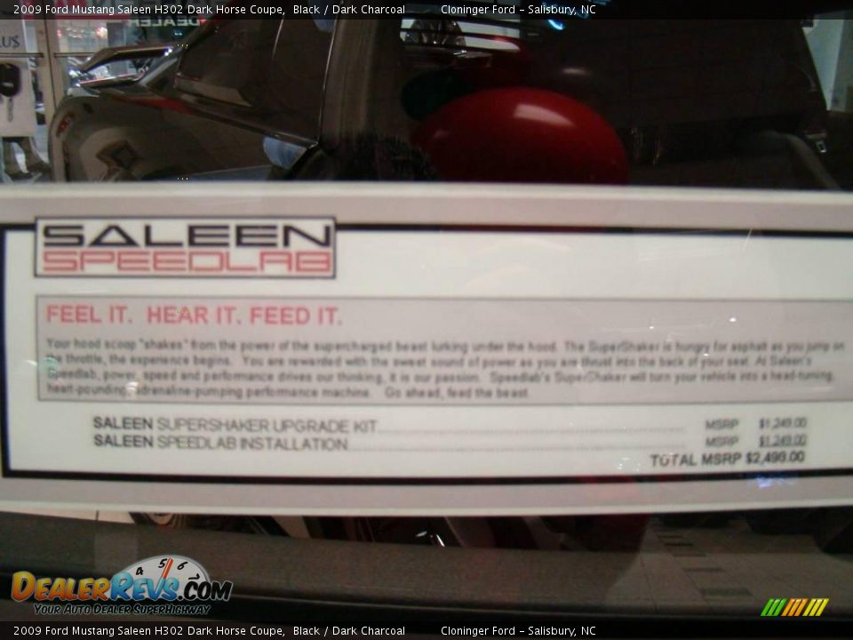 2009 Ford Mustang Saleen H302 Dark Horse Coupe Black / Dark Charcoal Photo #24