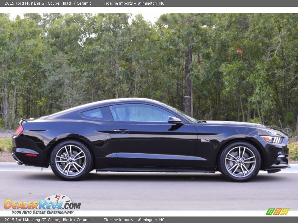 Black 2015 Ford Mustang GT Coupe Photo #25