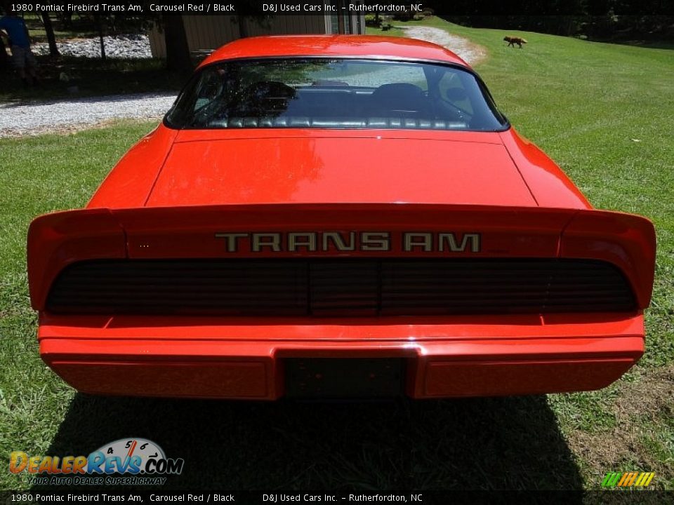1980 Pontiac Firebird Trans Am Carousel Red / Black Photo #9